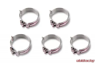 Earl's Performance -10 SUPER STOCK CLAMP (PACK OF 5) - 818410ERL
