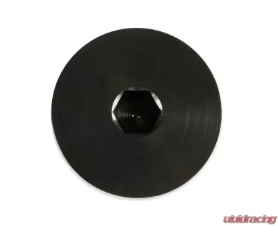 Earl's Performance -16AN LOW PROFILE PORT PLUG, BLACK - AT981316ERL