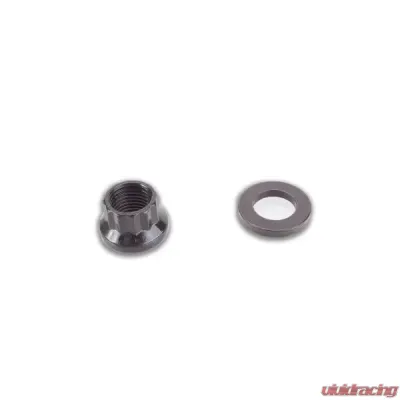 Titan Motorsports Head Studs L19 1/2" Toyota Supra 2JZ - TMS SUP-ENG-418