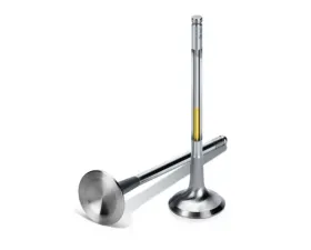 Supertech Inconel Exhaust Valve +1mm Oversize (Set of 12) Audi | Volkswagen 1994-2005