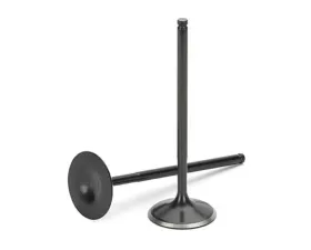 Supertech Black Nitrided Intake Valve Lexus | Toyota Supra 2JZ 1992-2005