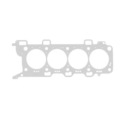 Gaskets & Seals