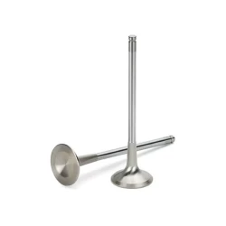 Exhaust Parts
