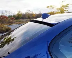 Racing Dynamics Rear Window Spoiler BMW F10 5-Series 4-Door Sedan 2010+