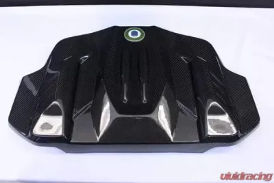 Racing Dynamics Carbon Fiber Engine Cover BMW F06/F1X M5 | M6 S63 2011+ - 131 74 63 010