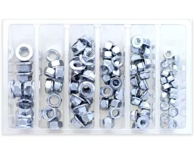 Bolt Motorcycle Hex Fuji-Lock Nut Assortment 100 Piece Kit