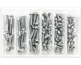 Bolt Motorcycle M6 Euro Torx Flange Bolt Assortment 100 Piece Kit