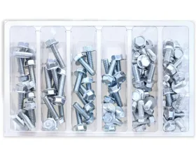 Bolt Motorcycle M6 10MM Hex Flange Bolt Assortment 80 Piece Kit