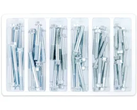 Bolt Motorcycle 20 - M6 8MM Hex Flange Bolt Assortment 60 Piece Kit