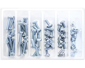Bolt Motorcycle M6 Pan Head Phillips Assortment 120 Piece Kit