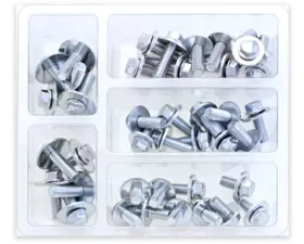 Bolt Motorcycle 8MM Hex Flange Bolt Assortment With 16MM Washer 40 Piece Kit