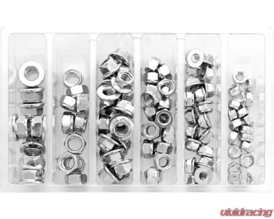 Bolt Motorcycle Hex Fuji-Lock Nut Assortment 100 Piece Kit - SV-FUJINUT