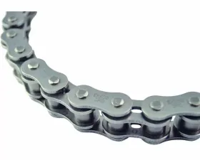 EK Chain 530X110 SROZ2 Chain Gold