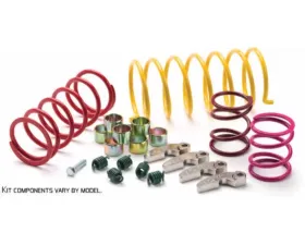 EPI Performance Mudder Clutch Kit 28 Inch Tire 0-3000ft Elevation >Arctic Cat Wildcat 1000 | Wildcat 4 1000