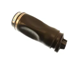 Bilstein B3 OE Replacement (Air) - Air Suspension Spring Mercedes-Benz Rear