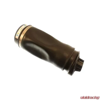 Bilstein B3 OE Replacement (Air) - Air Suspension Spring Mercedes-Benz Rear - 40-148359