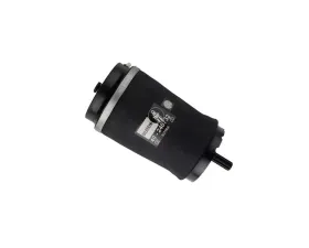 Bilstein B3 OE Replacement (Air) - Air Suspension Spring Land Rover Range Rover Rear 2003-2012