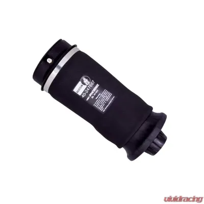 Bilstein B3 OE Replacement (Air) - Air Suspension Spring Mercedes-Benz Rear - 40-247687