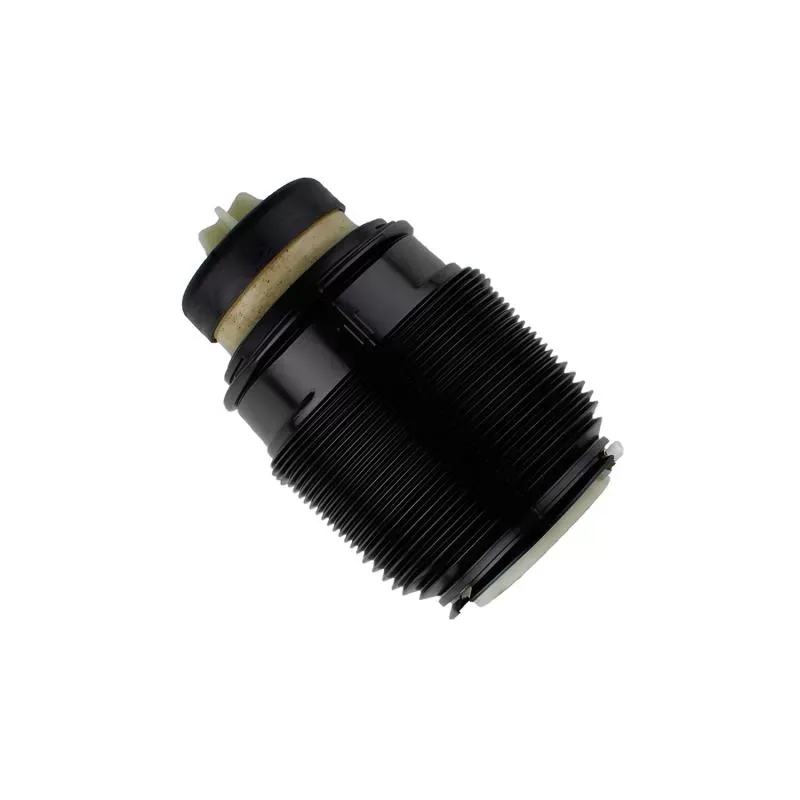 Bilstein B3 OE Replacement (Air) - Air Suspension Spring Mercedes-Benz Rear Right - 40-303437