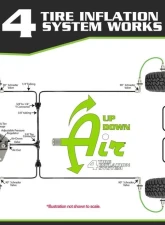 Up Down Air 4 Tire Inflation System Ford Raptor Engine Bay W/Engine Mount With Box, Fittings, Hoses and Storage Bag Black                                     - 220-0118 - Image 6