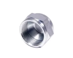 Aeroquip Universal #16 Steel Cap