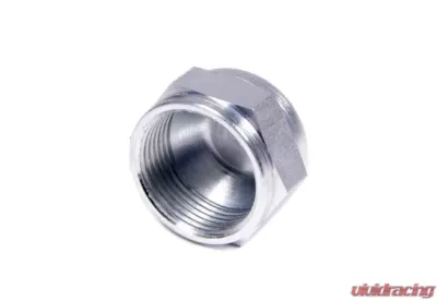 Aeroquip Universal #16 Steel Cap - FCM3566