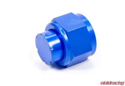Aeroquip Universal #16 An Cap Aluminum - FCM3744