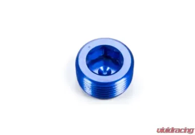 Aeroquip Universal 3/4in Pipe Plug - FCM3750