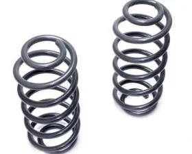 MaxTrac Front Lowering Coils 2WD V6 2in Ford F-150 97-03