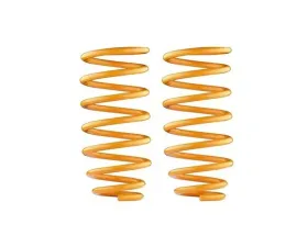 Ironman 4x4 Rear Coil Springs - Constant Load (660LBS-GVM) Nissan Armada 2017-2020 | Patrol Y62 | Infiniti QX56 | QX80