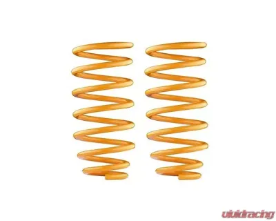 Ironman 4x4 Rear Coil Springs - Constant Load (660LBS-GVM) Nissan Armada 2017-2020 | Patrol Y62 | Infiniti QX56 | QX80 - NISS046C