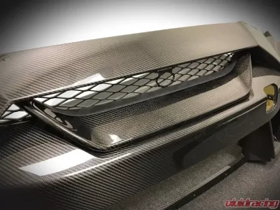 N-Tune Front Bumper Grille Insert Carbon Fiber Gloss Nissan GTR R35 2017+ - N100-4000