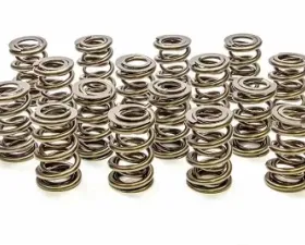 Pac Racing Springs 1200 Series Valve Springs  Drag Race Series Triple Spring 1.645
