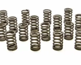 Pac Racing Springs 1200 Series Ovate Beehive Valve Spring- 1.307