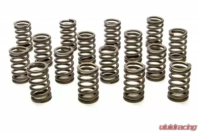 Pac Racing Springs 1200 Series Ovate Beehive Valve Spring- 1.307" OD - PAC-1219