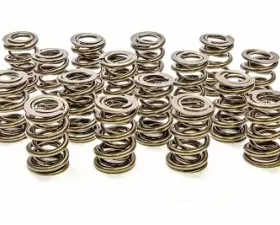 Pac Racing Springs 1200 Series Dual Valve Spring- 1.550