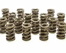 Pac Racing Springs 1200 Series Dual Valve Springs/Damper 1.550