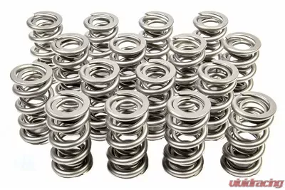 Pac Racing Springs 1300 Series Dual Valve Springs 1.300" OD Set of 16 - PAC-1335