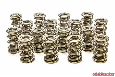Pac Racing Springs 1300 Series Triple Valve Spring 1.645" OD - PAC-1349