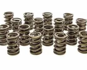 Pac Racing Springs Hot Rod Series Dual Spring/Damper Valve Spring 1.540