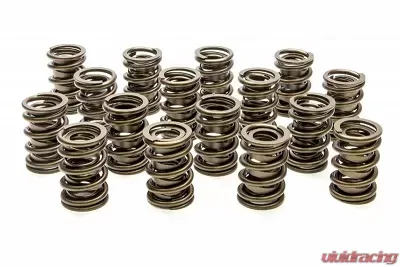 Pac Racing Springs Hot Rod Series Dual Spring/Damper Valve Spring 1.540" OD Set of 16 - PAC-1924