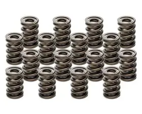 Pac Racing Springs HR Series Valve Springs 1.555 Dual Set of 16