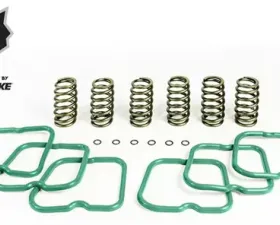 Pacbrake Basic Spring Kit 6 Springs Dodge Cummins 12 Valve Engine 1994-1998