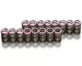 Toda Valve Springs Honda K20A
