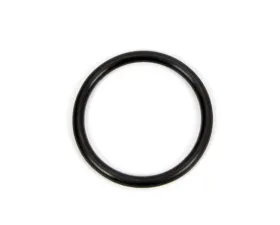 Winters O-Ring  Piston