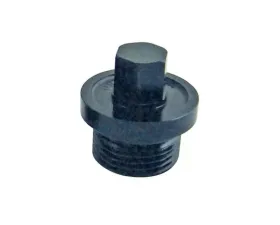 Winters Inspection Plug Small 9/16 Hex