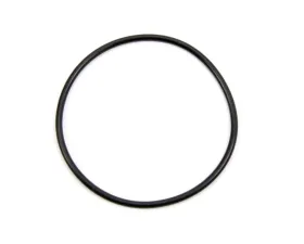 Winters Seal Plate O-Ring