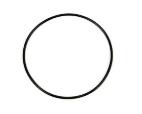 Winters O-Ring  Dust Cap GN