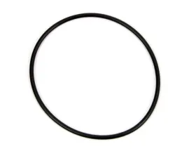 Winters 007 Drive Flange Locator O-Ring