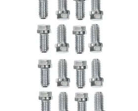 Mr. Gasket Stainless Steel Header Bolts
